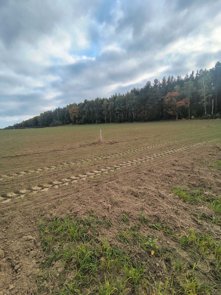 Działka rolno-budowlana Sulnowo. Zdjęcie 6