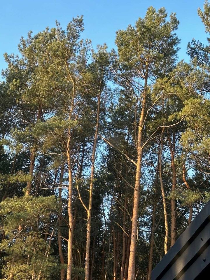 Działka budowlana Kąty. Zdjęcie 3