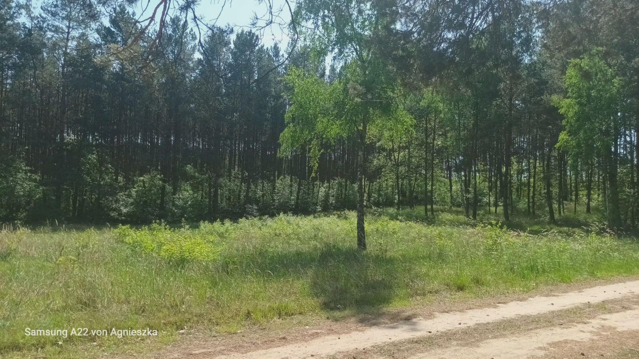 Działka budowlana Maciejewo. Zdjęcie 2