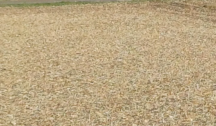 Działka inwestycyjna Ożarów Mazowiecki, ul. Zatorze