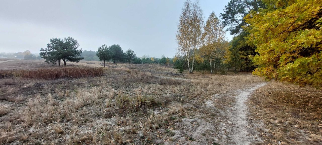 Działka budowlana Dobiesz, ul. Mazowiecka. Zdjęcie 6