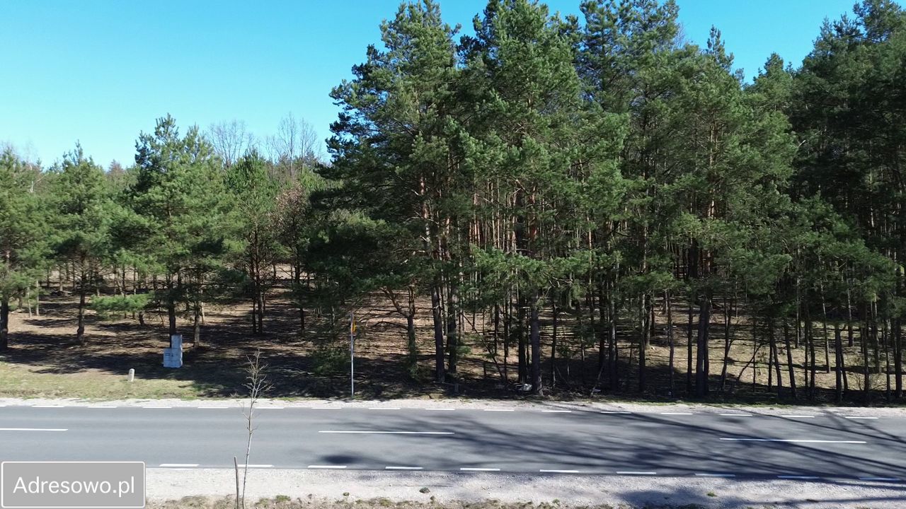 Działka budowlana Marynino. Zdjęcie 11