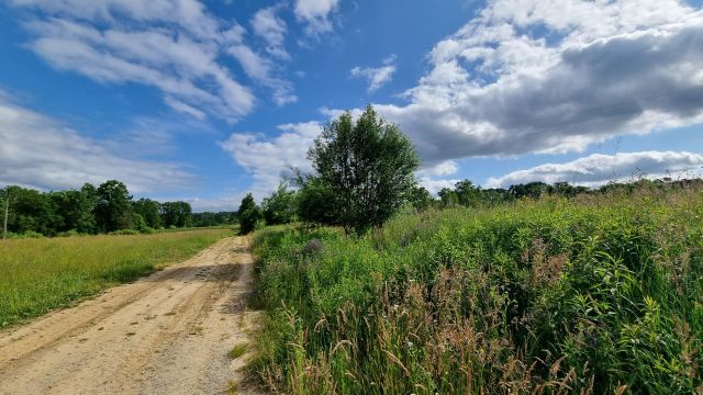 Działka budowlana Gaj Zadziela, ul. Zadziele. Zdjęcie 1