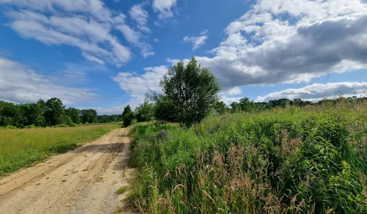 Działka budowlana Gaj Zadziela, ul. Zadziele