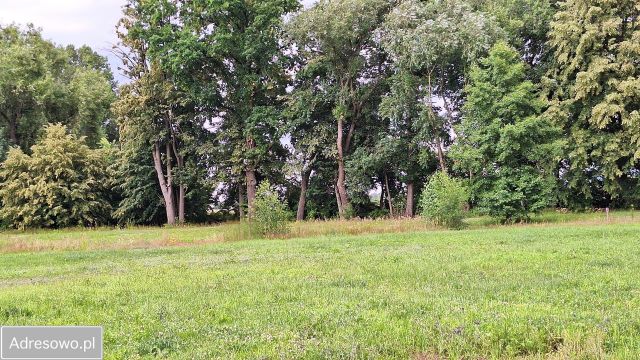 Działka budowlana Burkatów. Zdjęcie 1