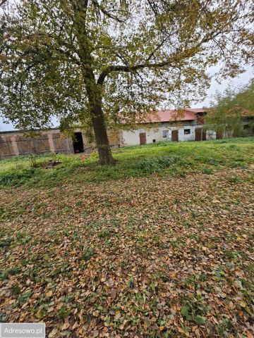 siedlisko, 5 pokoi Lisków. Zdjęcie 1