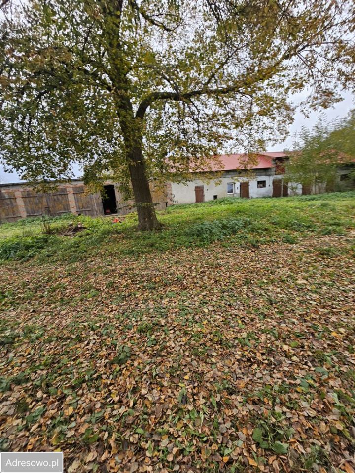 siedlisko, 5 pokoi Lisków