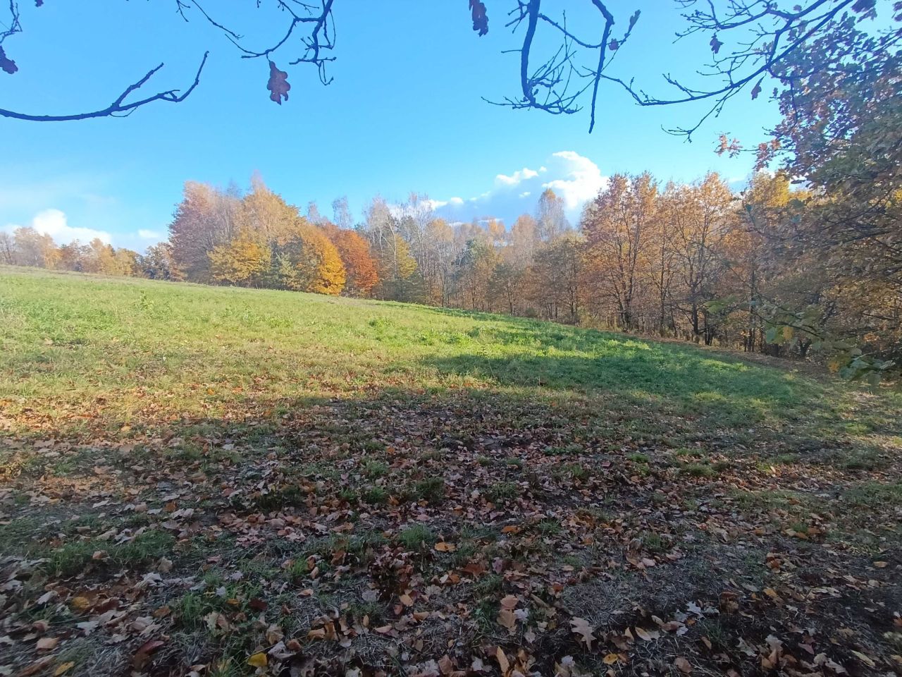 Działka rolna Tuchów. Zdjęcie 2
