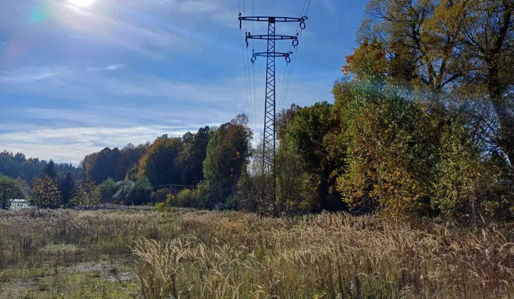Działka budowlana Olszyna, ul. Adama Mickiewicza