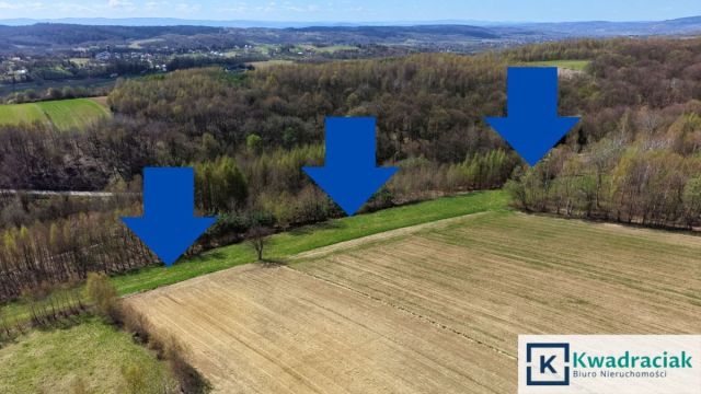 Działka rolna Lublica. Zdjęcie 1