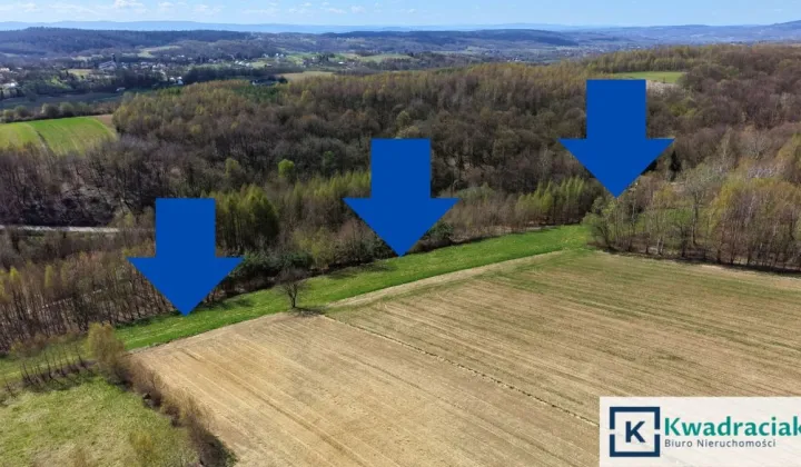 Działka rolna Lublica