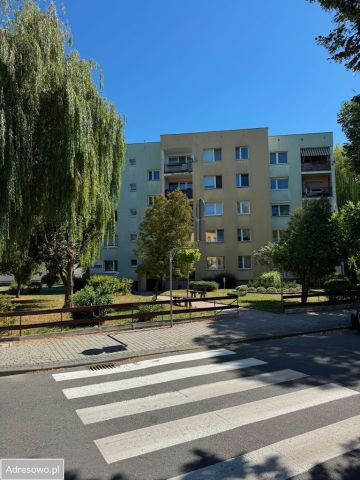 Mieszkanie 2-pokojowe Krapkowice, ul. Moniuszki. Zdjęcie 1