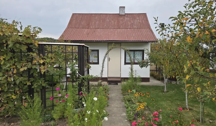 Działka rod Nysa Radoszyn, Aleja Wojska Polskiego