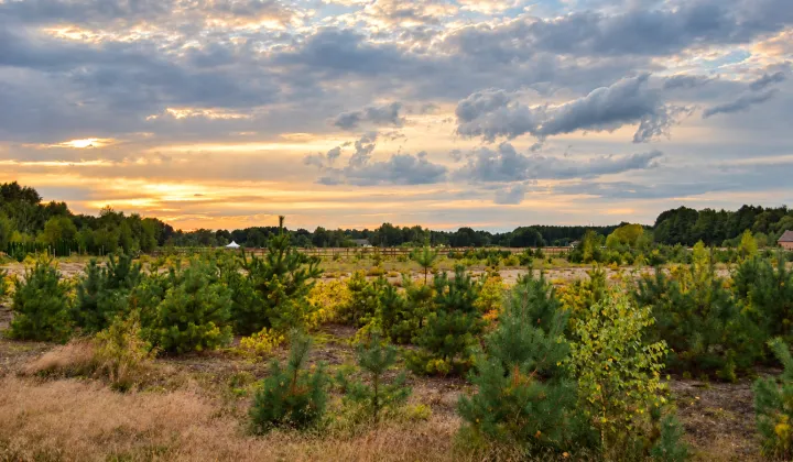 Działka rolno-budowlana Grotów