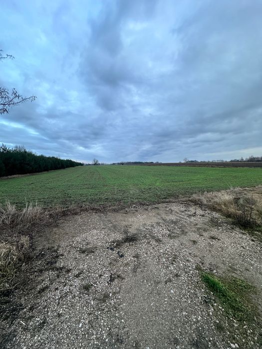 Działka inwestycyjna Dębowa Góra. Zdjęcie 3