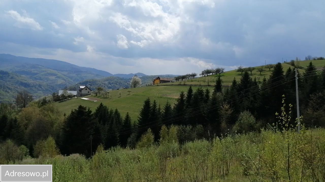 Działka budowlana Jazowsko. Zdjęcie 9