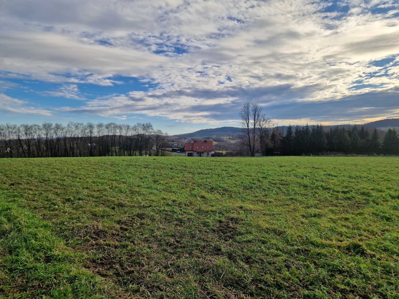 Działka rolna Marcyporęba, ul. Graniczna. Zdjęcie 5