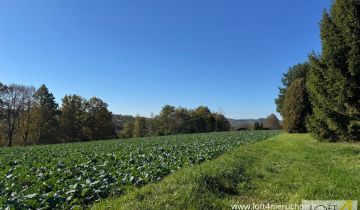Działka budowlana Tuchów, ul. Ryglicka
