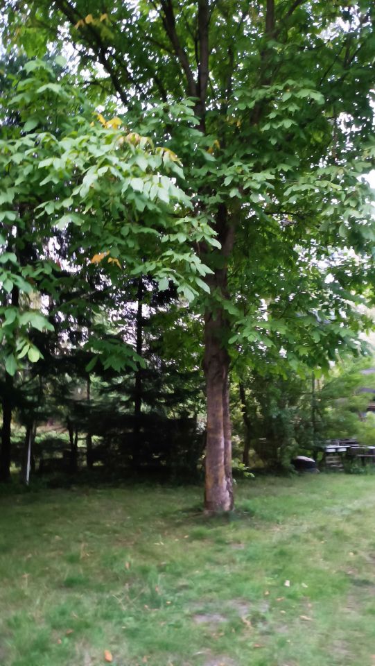 Działka rolno-budowlana Grabówka, ul. Lukrecjowa. Zdjęcie 4