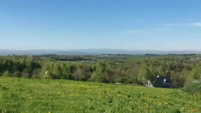 Działka rolno-budowlana Brzozówka. Zdjęcie 1