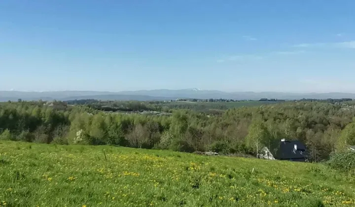Działka rolno-budowlana Brzozówka