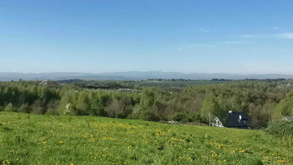 Działka rolno-budowlana Brzozówka. Zdjęcie 1