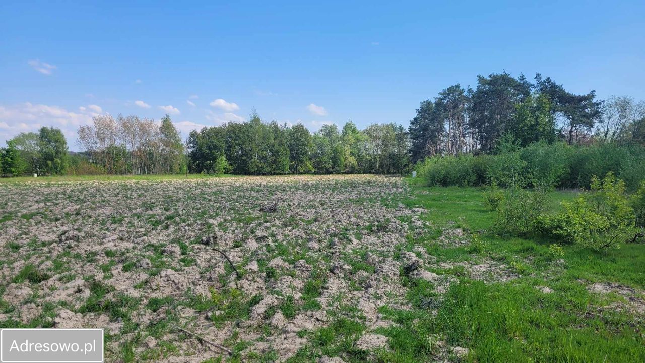 Działka budowlana Kobylec. Zdjęcie 9