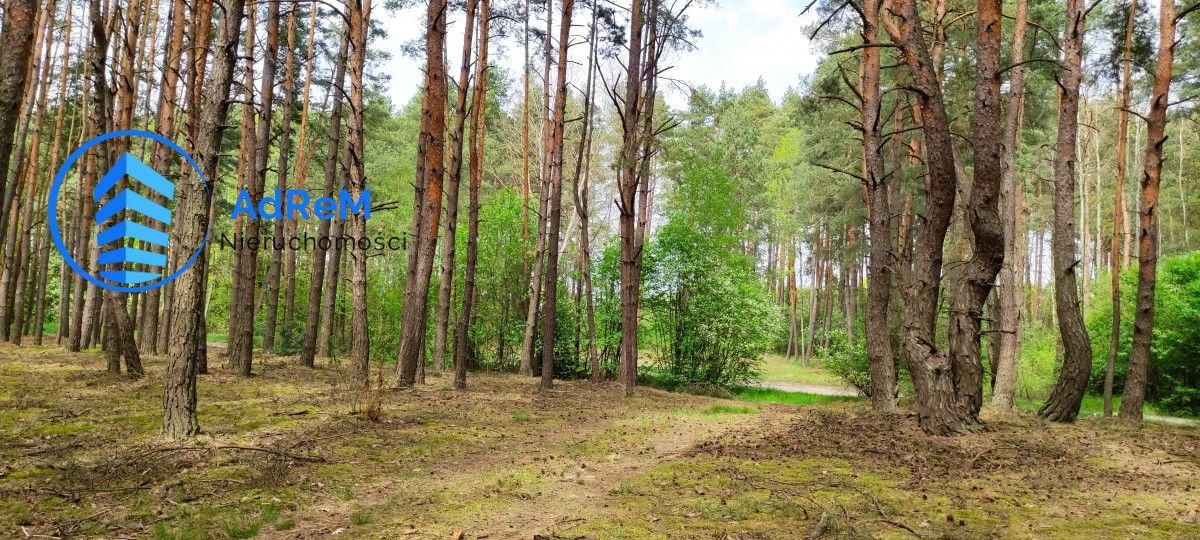 Działka siedliskowa Siwianka. Zdjęcie 6