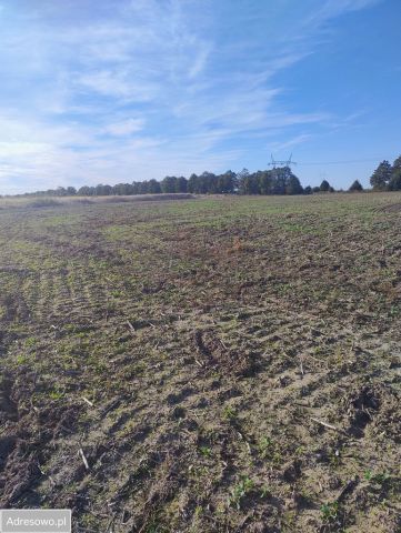 Działka budowlana Gwiazdowo. Zdjęcie 1