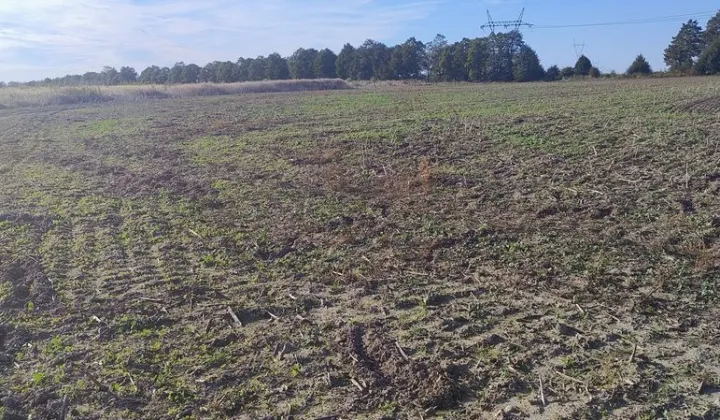 Działka budowlana Gwiazdowo