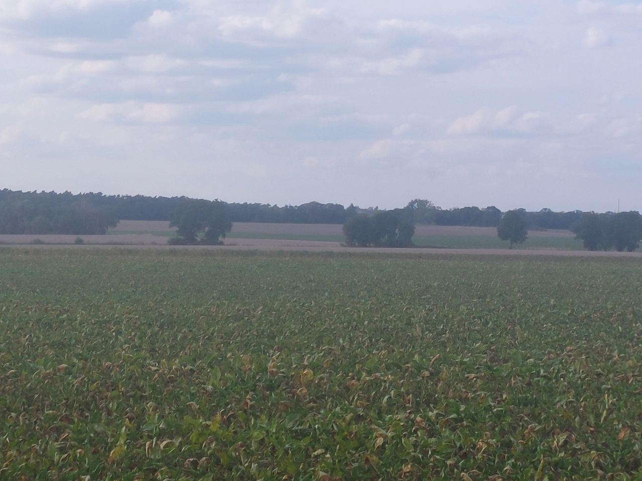 Działka budowlana Gortatowo Gortatowo-Huby, ul. Daleka. Zdjęcie 9