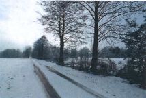 Działka rolna Śladów, brak. Zdjęcie 4