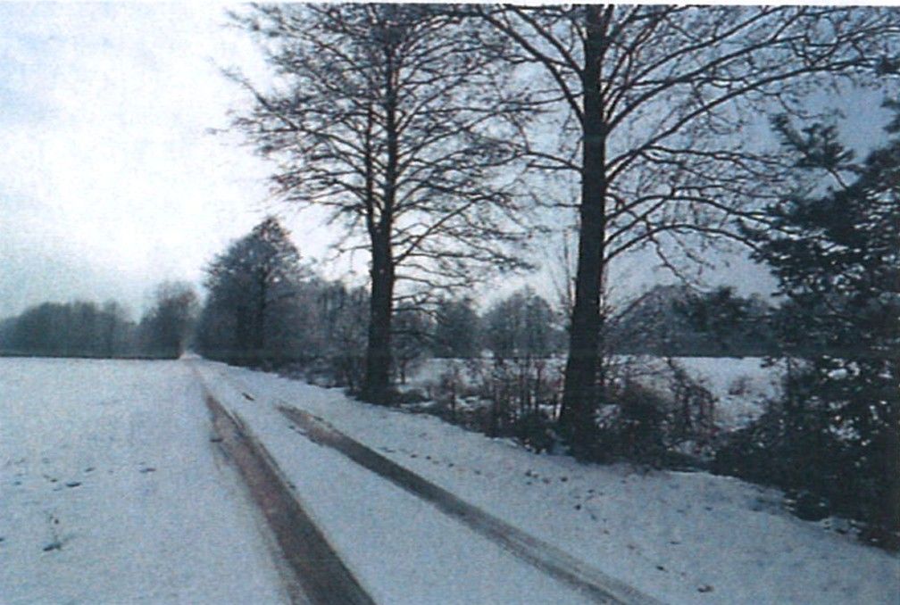 Działka rolna Śladów, brak. Zdjęcie 6