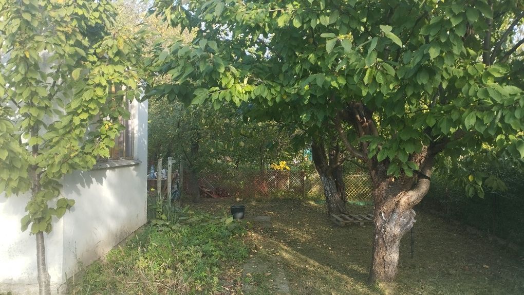 Działka rod Legnica, ul. Działkowa. Zdjęcie 2