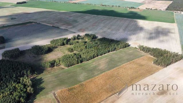 Działka rolna Józefinka. Zdjęcie 5