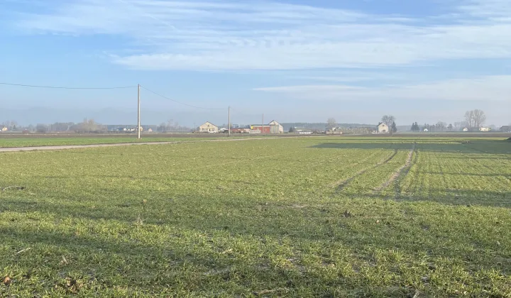 Działka rolna Walentynowo