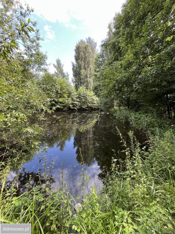 dom wolnostojący, 4 pokoje Kępa Borzechowska. Zdjęcie 6