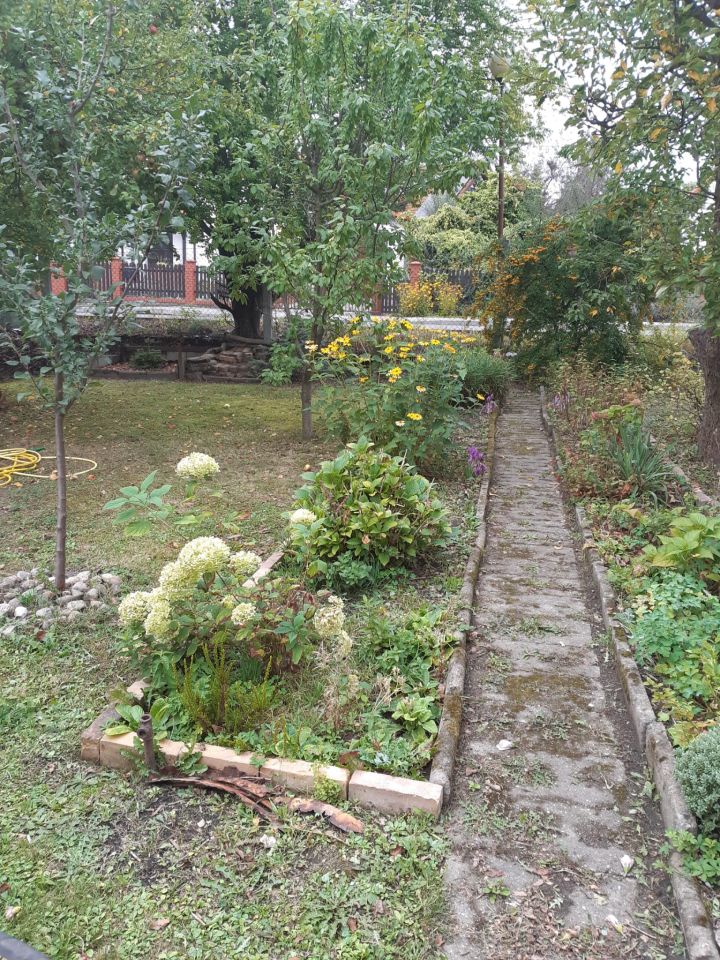 Działka rod Zielona Góra Centrum, ul. Andrzeja Struga. Zdjęcie 17