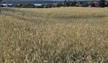 Działka rekreacyjna Dominice, ul. Dębowa