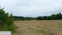 Działka budowlana Buszkowy Górne, ul. Leśna Góra. Zdjęcie 3
