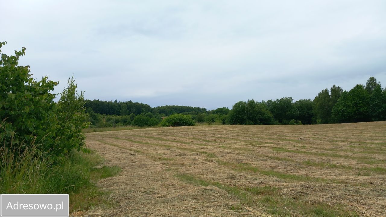Działka budowlana Buszkowy Górne, ul. Leśna Góra. Zdjęcie 4