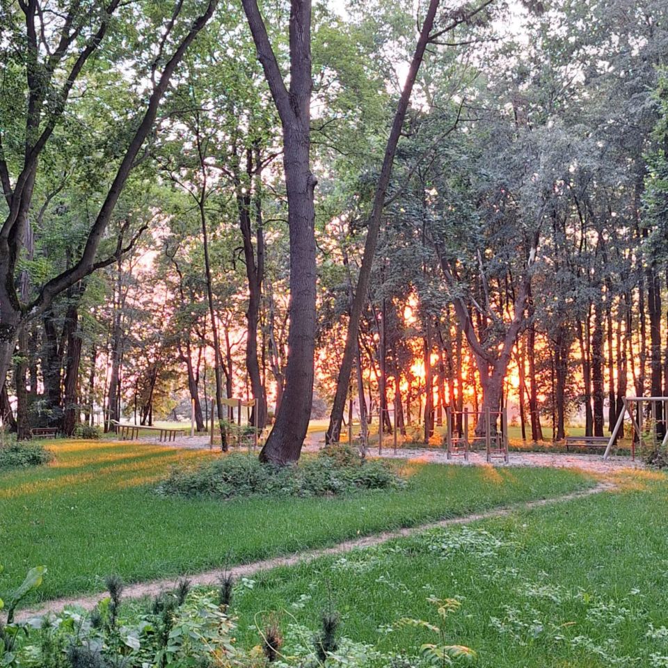 Działka budowlana Komorniki. Zdjęcie 10