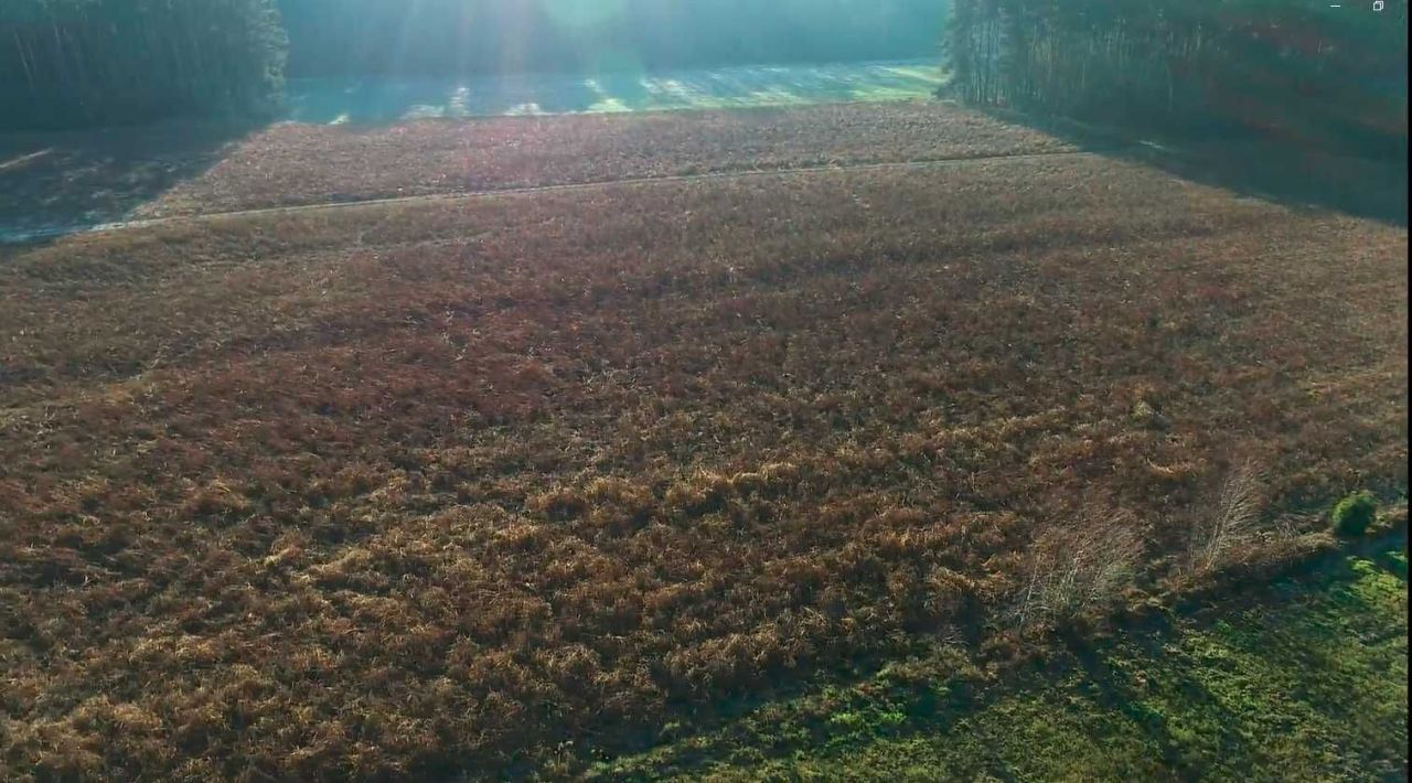 Działka budowlana Ligota. Zdjęcie 6