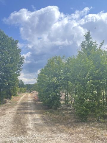 Działka rolna Zdunki. Zdjęcie 1