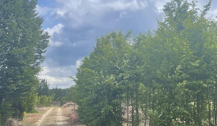 Działka rolna Zdunki