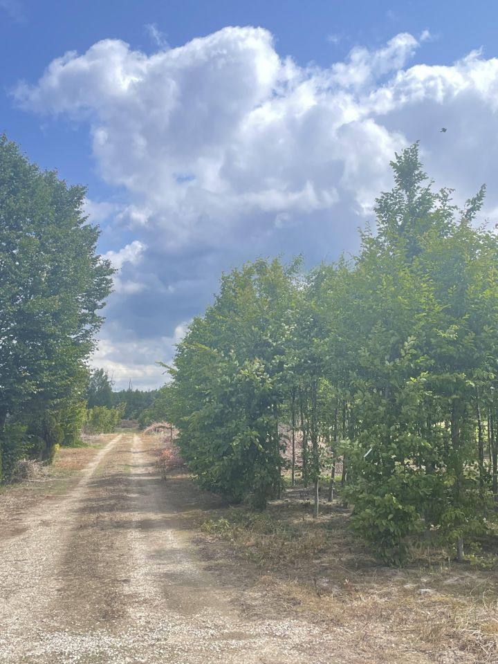 Działka rolna Zdunki