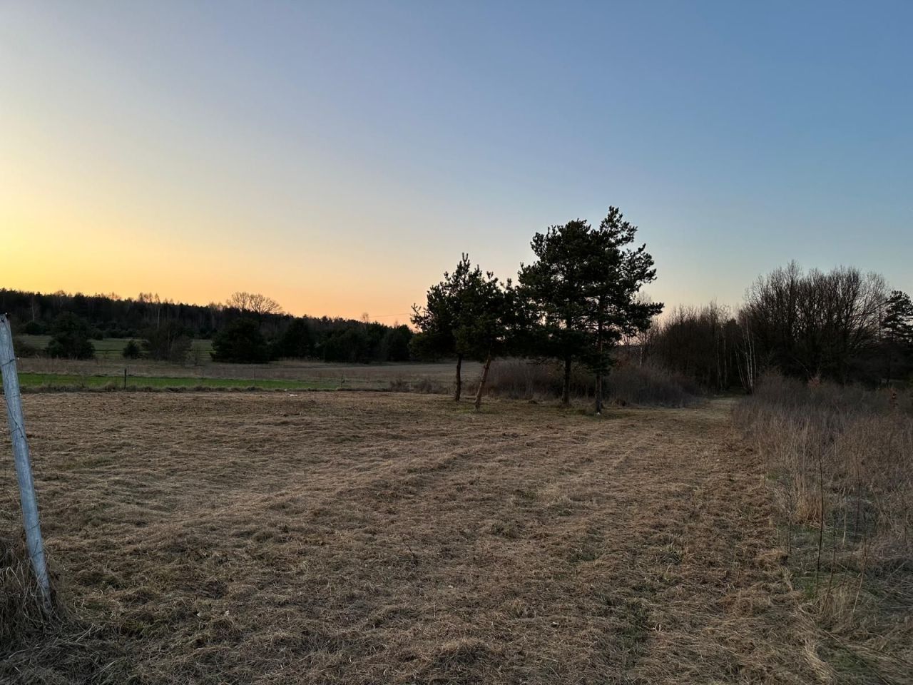 Działka budowlana Srocko, ul. Dębowa