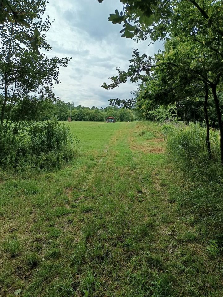 Działka rekreacyjna Teodorów. Zdjęcie 6