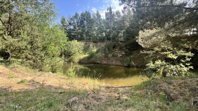 Działka rekreacyjna Osieczna. Zdjęcie 11