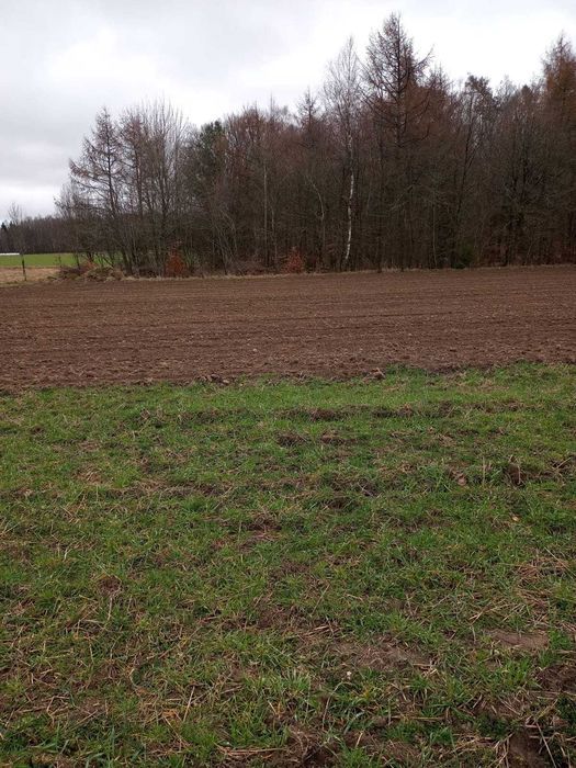 Działka siedliskowa Tępcz. Zdjęcie 3